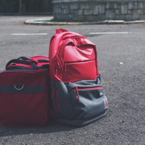 Travel Bags